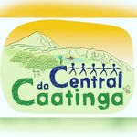 ARMAZÉM CENTRAL DA CAATINGA🌴🐐