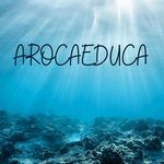 AROCAEDUCA