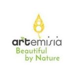 Artemisia Studios