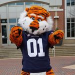 Aubie the Tiger