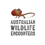 Australian Wildlife Encounters