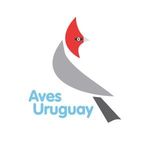 Aves Uruguay