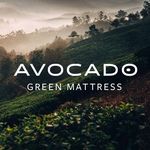 Avocado Green Brands