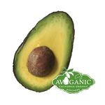 AvoGanic Avocados