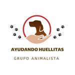 AyudandoHuellitas🇬🇹