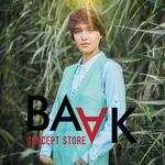 BAAK concept store