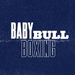 Baby Bull Boxing