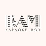 BAM Karaoke Box