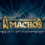 Banda Machos