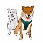 Rei the Banshi & Donte