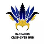 The Barbados Crop Over HUB