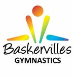 Baskervilles Gym
