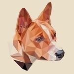 Basenji Chak