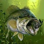 Bass Fishing Awesome