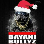 Bayani Bullyz