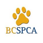 BC SPCA