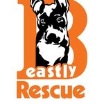 Beastly Rescue 🐾