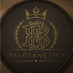 Belgianetics