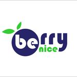 Berry Nice Consultoria