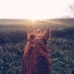 Horse Riding Views | Ireland