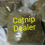 Gigi  (The Catnip Dealer)