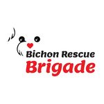 Bichon Rescue Brigade