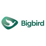 Bigbird Bus | Bluebird Group