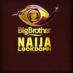 Big Brother Naija