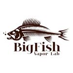 BigFish Vapor Lab