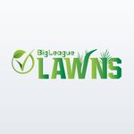 Big League Lawns USA