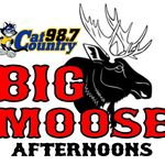 Big Moose