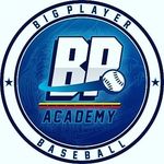 Big Player Baseball Academy