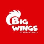 Big Wings