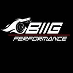 biig_performance