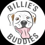 Billie’s Buddies Animal Rescue