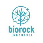 Biorock Indonesia