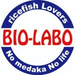 めだか屋BIO-LABO