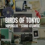 Birds of Tokyo