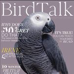 Bird Talk Magazine