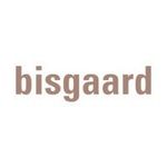 bisgaard shoes