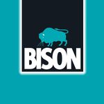 Bison_Ecuador