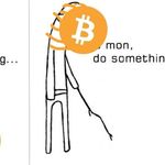 Bitcoin Memes