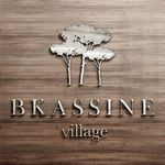 Bkassine Village Official Page