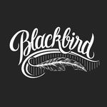 Blackbird