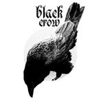 Black Crow Tattoo