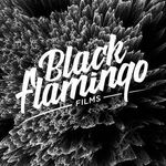 BLACK FLAMINGO FILMS