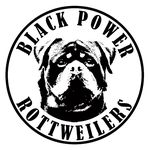 BLACK POWER ROTTWEILERS