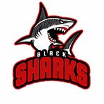 Black Sharks Co.