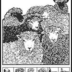 Black Sheep Gathering