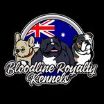 Bloodline Royalty Kennels